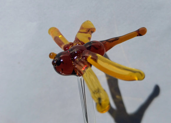 Orange Dragonfly Swizzle Stick